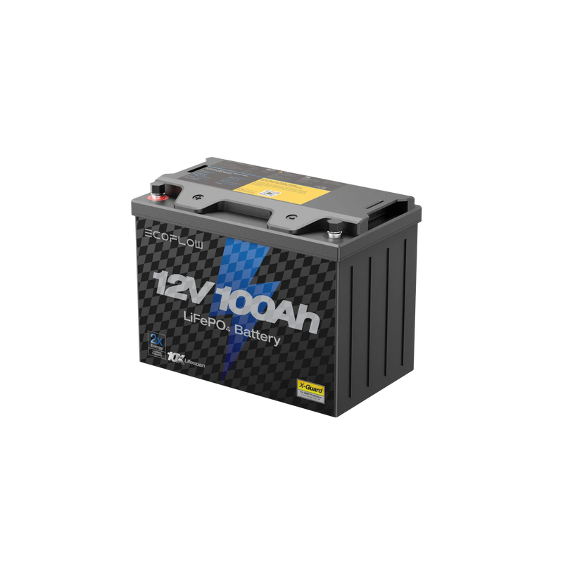 Load image into Gallery viewer, EcoFlow Lithium 12V 100Ah Battery
